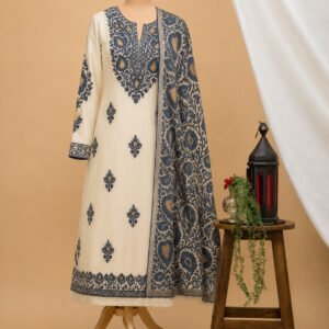 Aari And Tilla Work suits